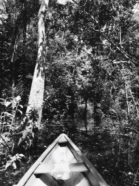 Floating--Amazonas-Ajoure-Travel