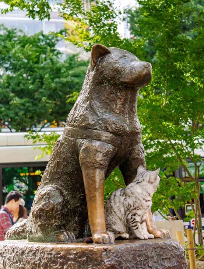 Hachiko Japan