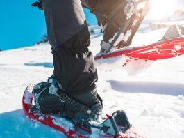 Schneeschuhwanderung Meranerland Gletscher