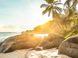 Die Seychellen - ein Traum im Indischen Ozean