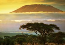 Kilimanjaro Afrika