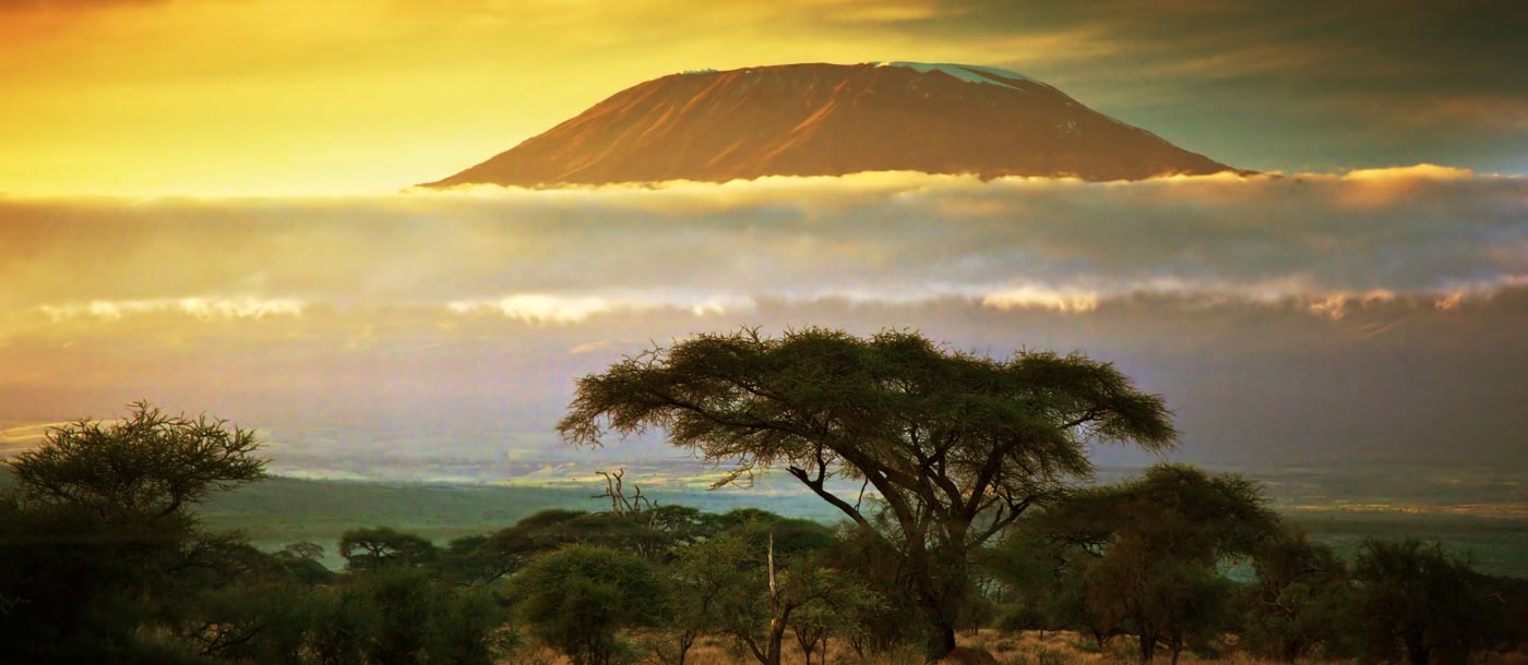 Kilimanjaro Afrika