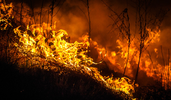 Alaska-Waldbrand-ajoure-travel