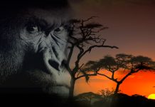 Untergang-Theme-ajoure-travel