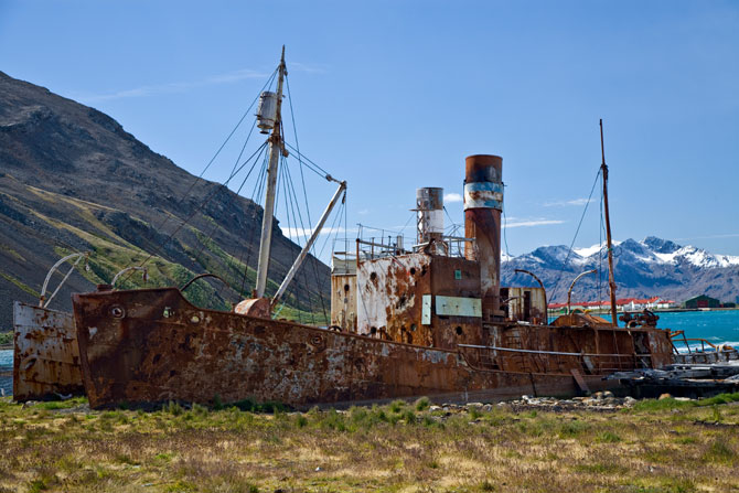 Walfangstation in Grytviken