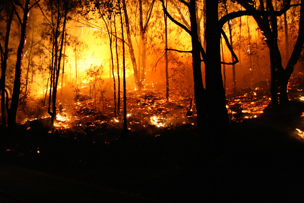 waldbrand-kali-usa-ajoure-travel