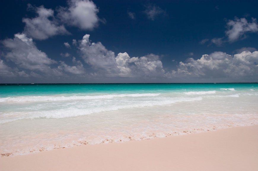 PINK: Pink Sands, Harbour Island, Bahamas