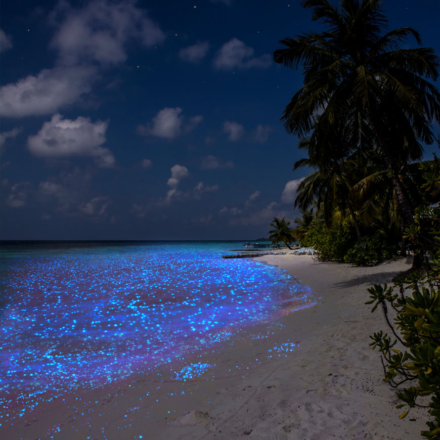 GLITZER: Malediven