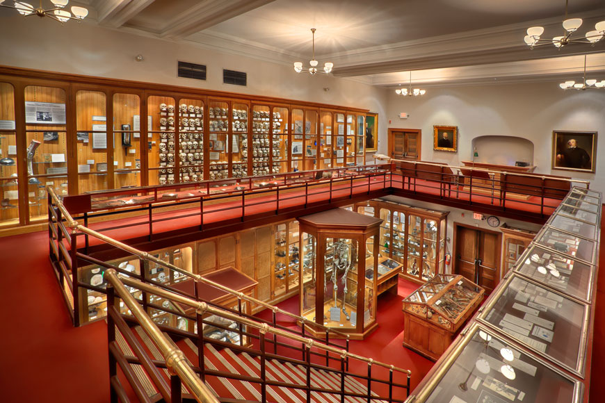 The Mütter Medical Museum