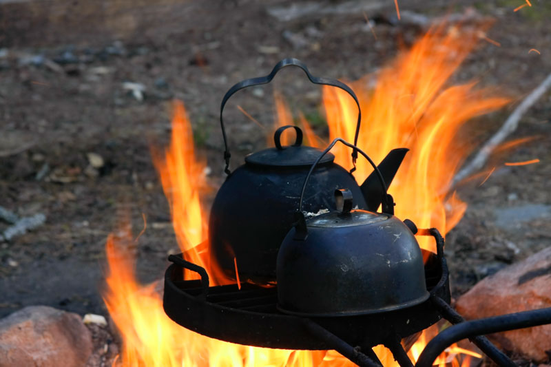 Wild-Food-Cooking