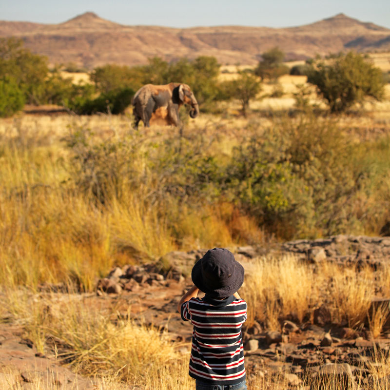 Auf Safari-Tour in Namibia