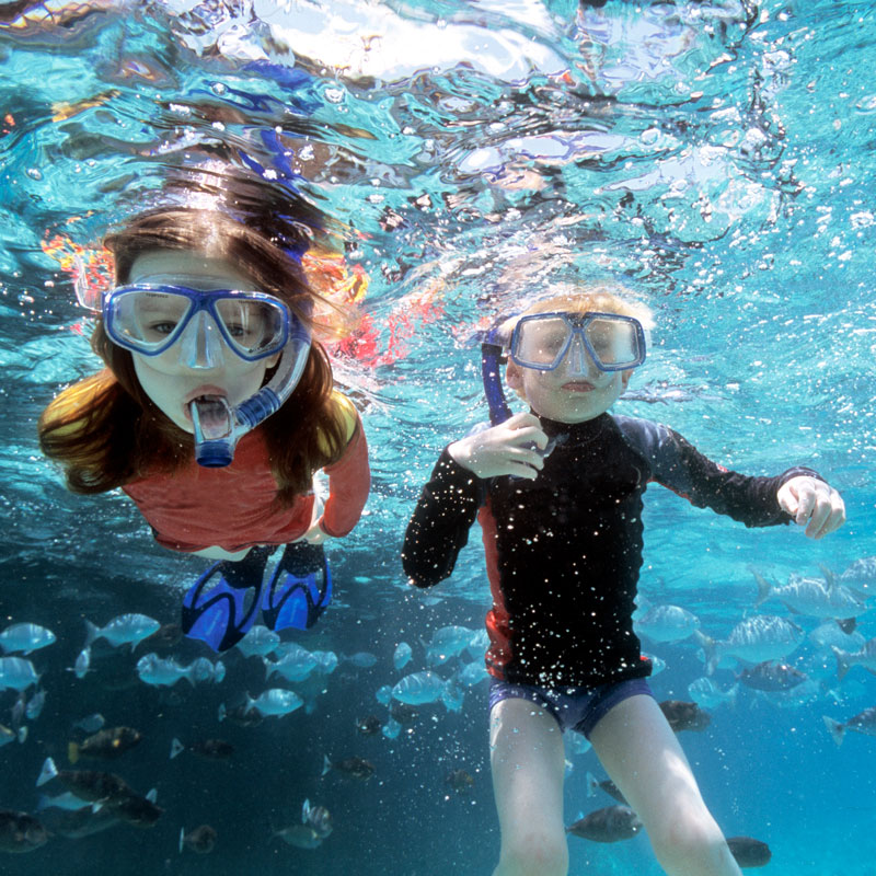 Schnorcheln im Roten Meer