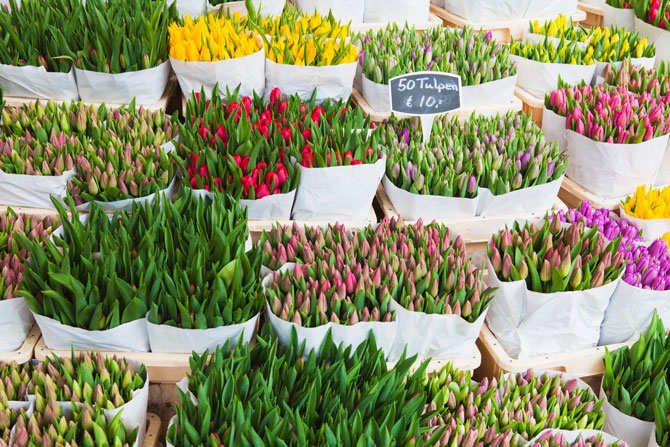 Amsterdam Blumenmarkt