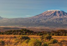 Besteigung des Kilimanjaro