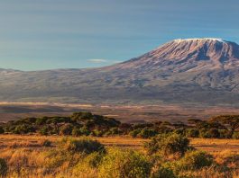 Besteigung des Kilimanjaro