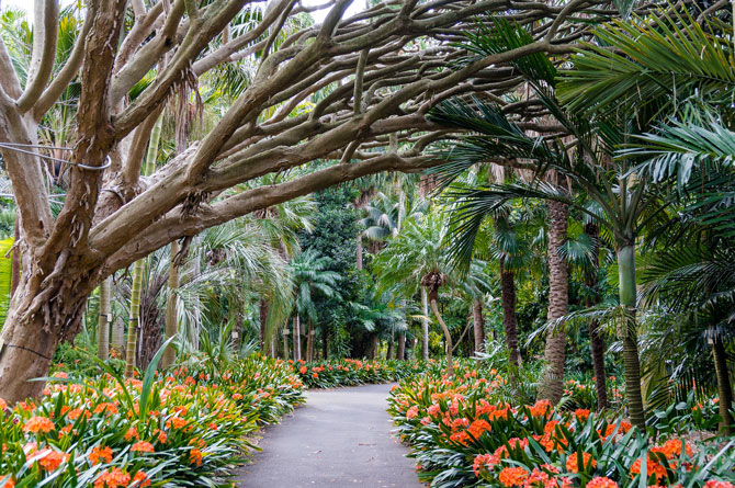 Royal Botanic Gardens