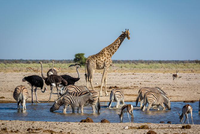 Namibia