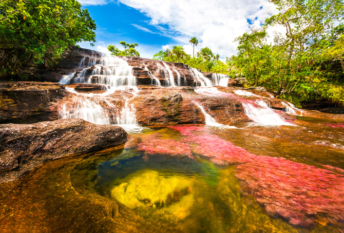 Cano Cristales in Kolumbien