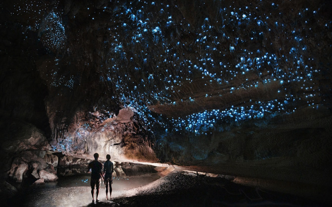 Waitomo Caves, Neuseeland