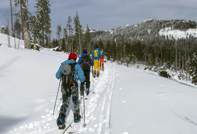 Winterwandern im Bayerischen Wald