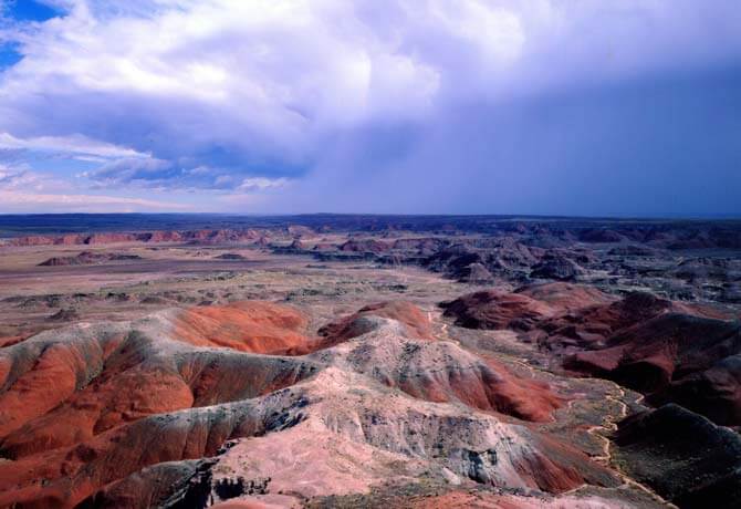 Petrified Forest Nationalpark