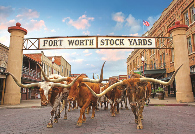 Texas Bullen