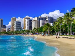 Waikiki Skyline