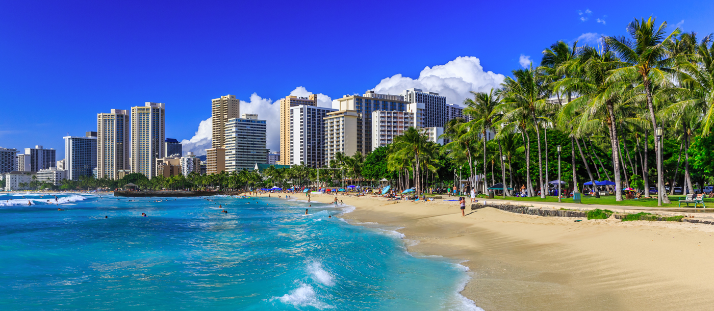 Waikiki Skyline