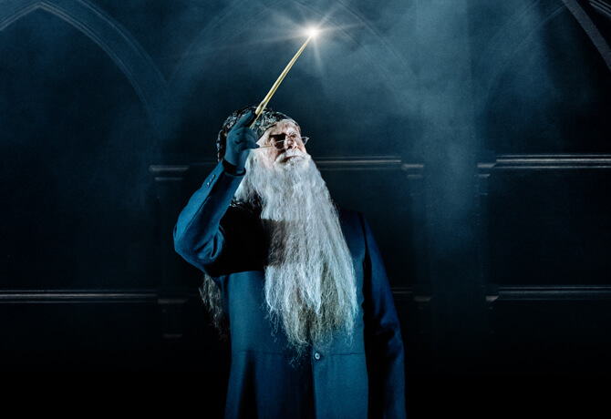 Harry Potter Dumbledore