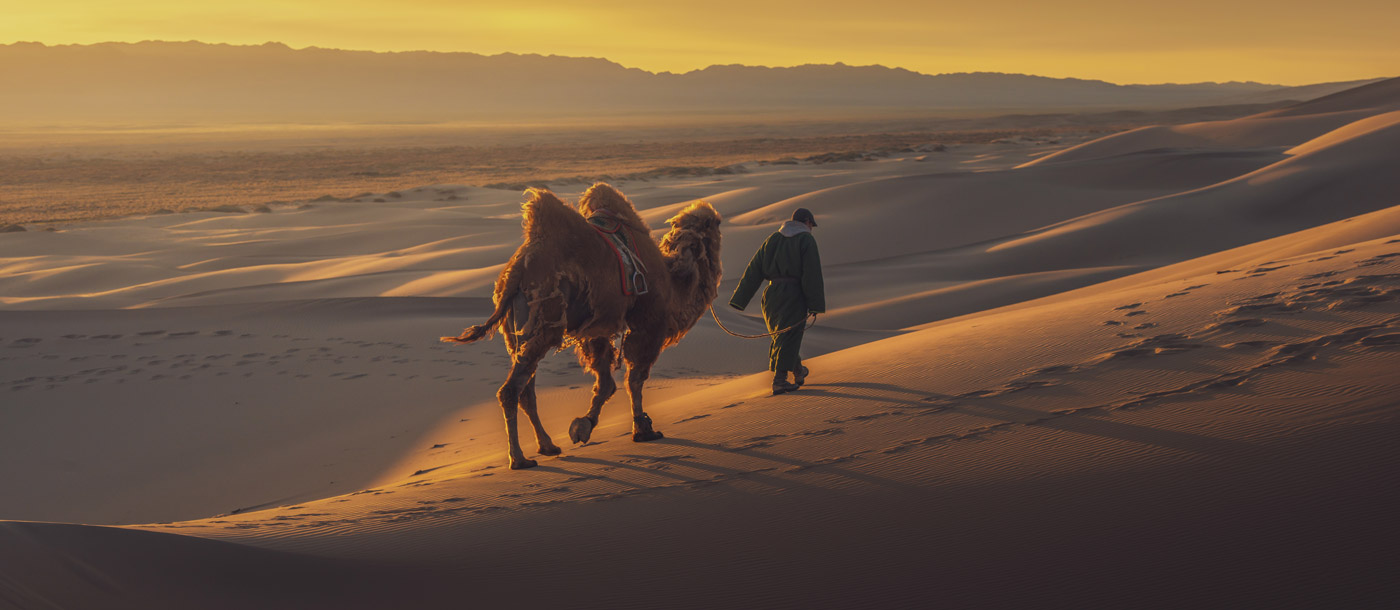 Mongolei Wanderer mit Kamel in der Wüste Gobi