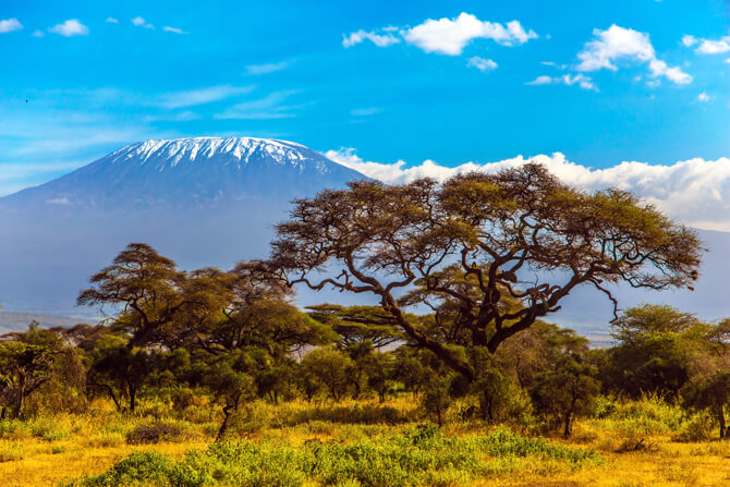 Kilimanjaro Afrika