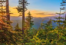 Oregon USA Landscape Beautiful Vista of Mount Hood