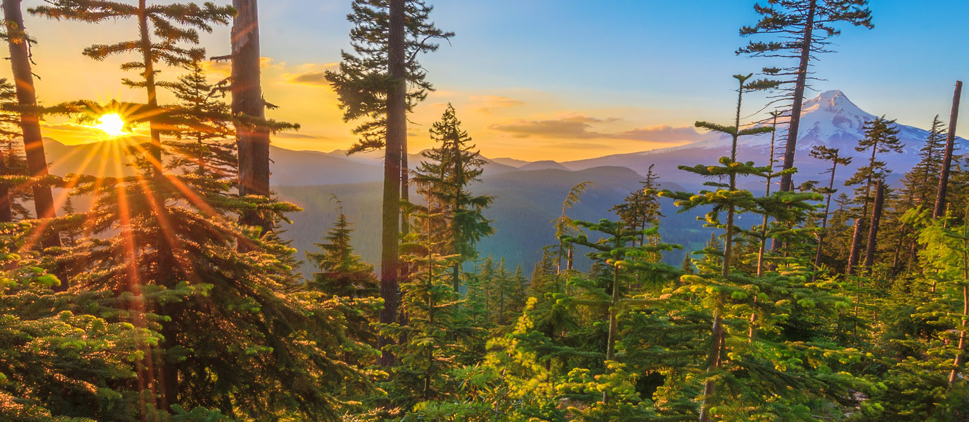 Oregon USA Landscape Beautiful Vista of Mount Hood