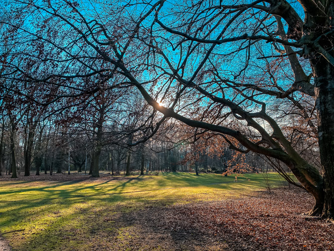 Berlin Tiergarten