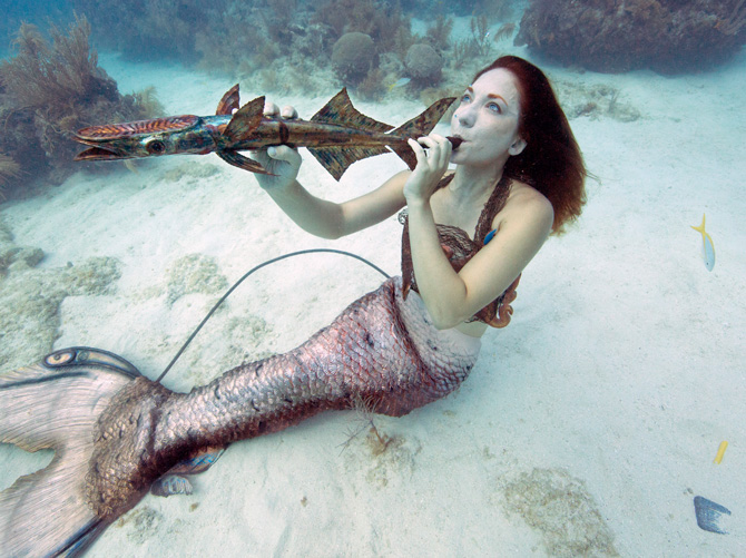 Meerjungfrau beim Underwater Music Festival Florida