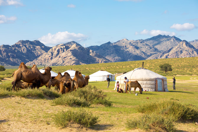 Mongolei Landscape mit Tieren