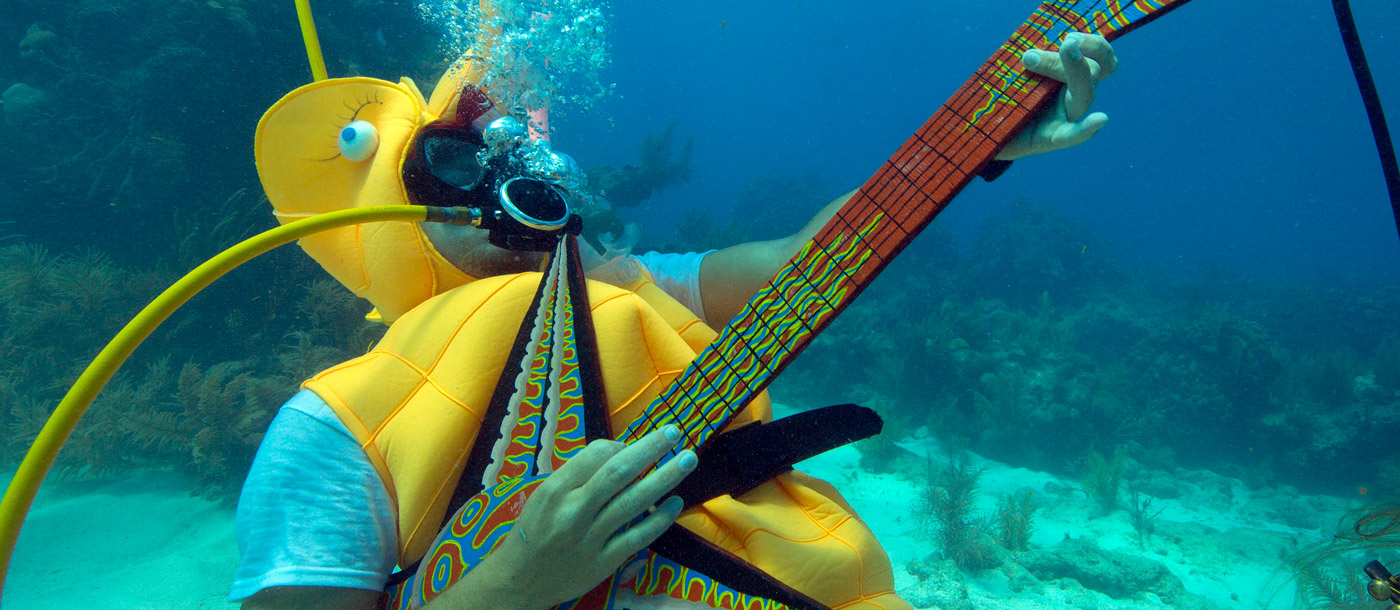 Seepferdchen beim Underwater Musik Festival Florida