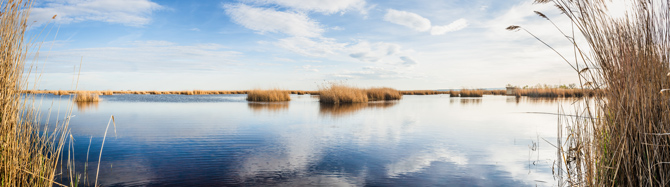 Neusiedler See