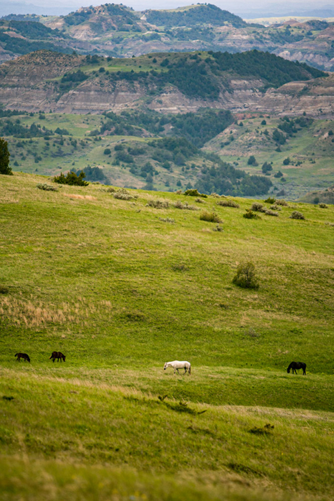 North Dakota