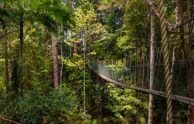 Taman Negara National Park in Malaysia