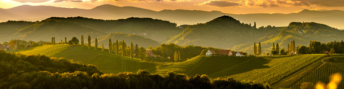 Weinberge in Österreich