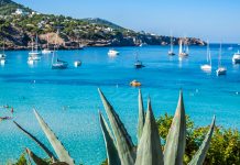 Die 5 schönsten Buchten Ibizas – Hier beginnt dein Urlaubsparadies Cala Tarida Ibiza