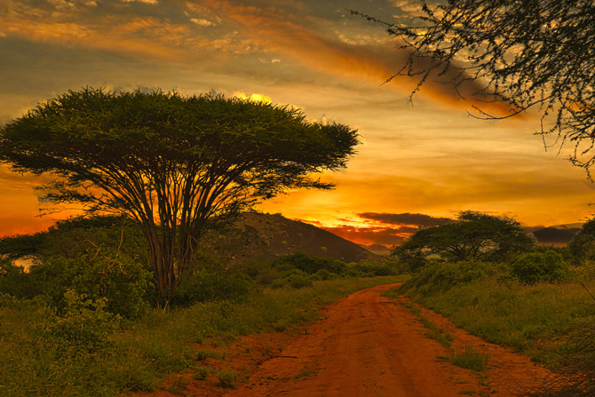 Sonnenuntergang im Tsavo NP