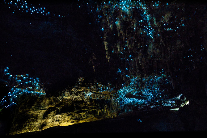 Waitomo Caves, Neuseeland