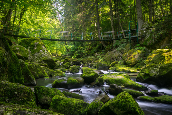 Bayerischer Wald Buchberger Leite Wildbachklamm