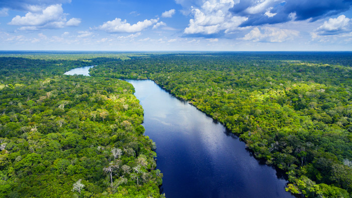 Die längsten Flüsse der Welt: Amazonas