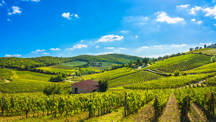 Chianti Weinberge in der Toskana