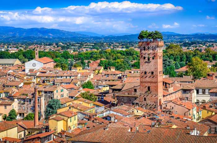 Guinigi Tower in Lucca, Toskana