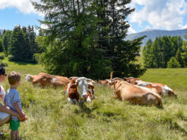 Urlaub mit Kindern in Meran