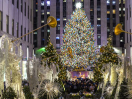 New York Christmas Shopping